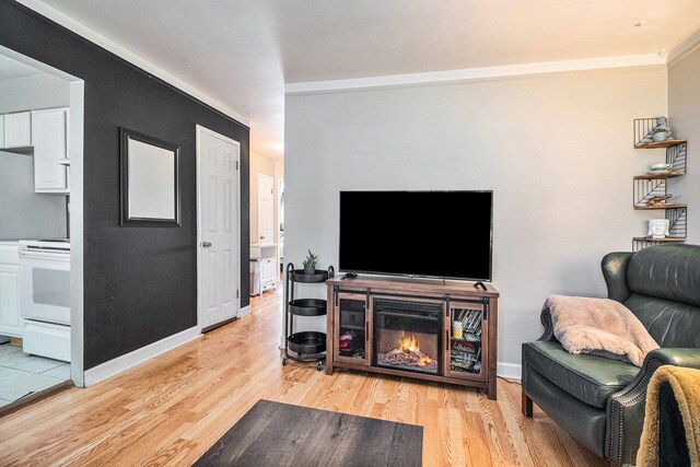 living room featuring light hardwood / wood-style flooring