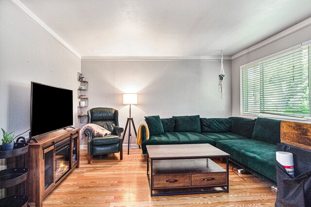 living room with crown molding and light wood-type flooring