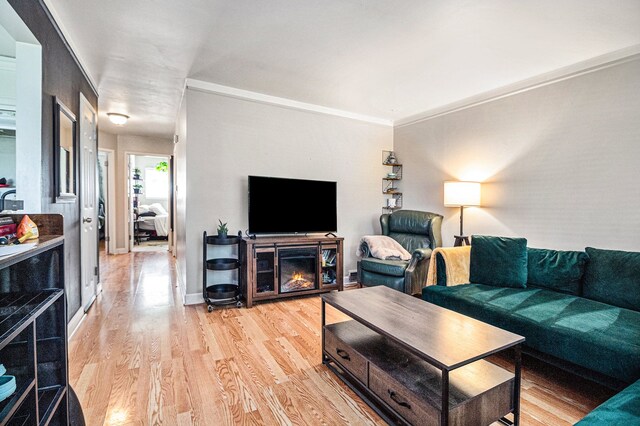 living room featuring ornamental molding, a fireplace, and light hardwood / wood-style flooring