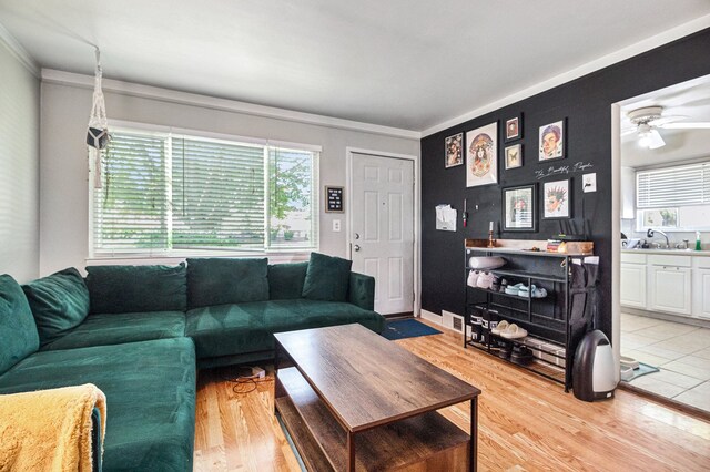 living room featuring a healthy amount of sunlight, sink, light hardwood / wood-style floors, and ornamental molding