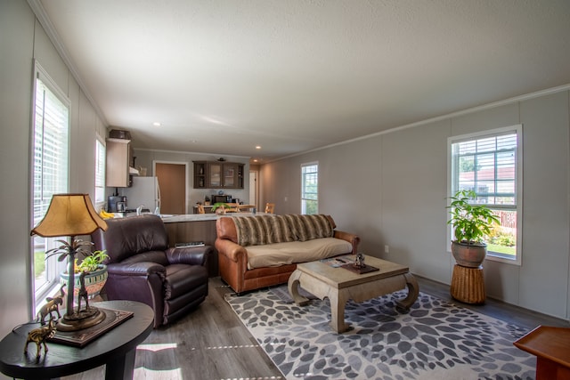 living room featuring crown molding and hardwood / wood-style flooring