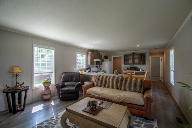 living room with a textured ceiling, ornamental molding, and dark wood-type flooring