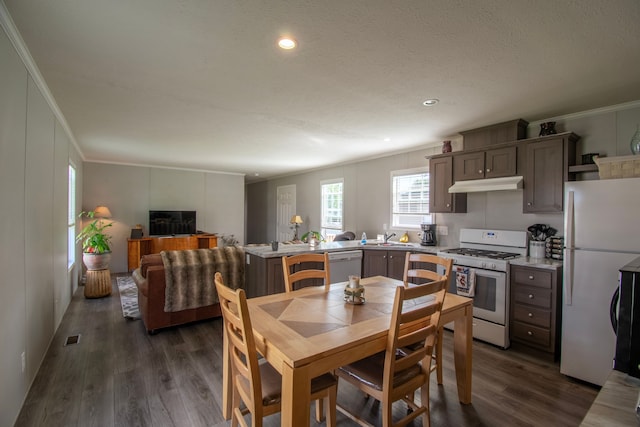 dining space with a textured ceiling, crown molding, sink, and dark hardwood / wood-style floors