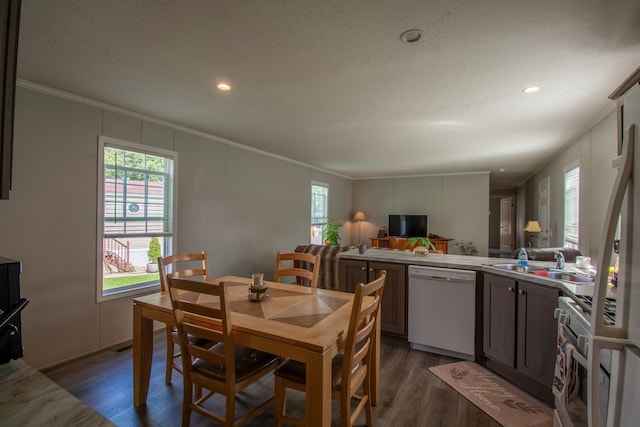 dining area with sink, dark hardwood / wood-style flooring, a textured ceiling, and ornamental molding