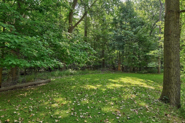 4705 Weiss Rd, Frankenmuth, MI 48734 - view of green lawn with a view of trees