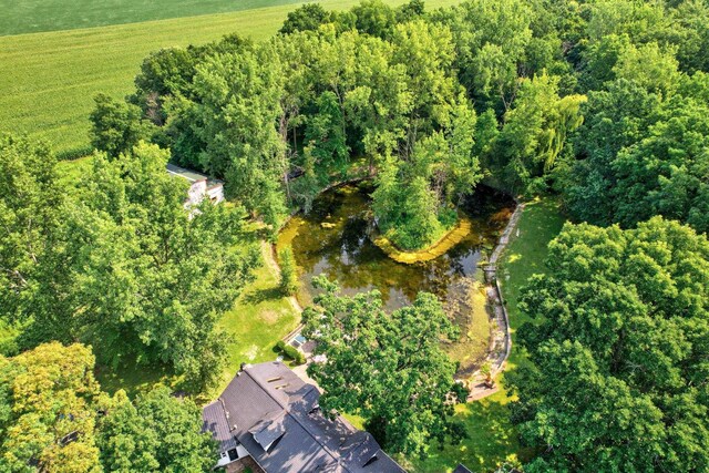 4705 Weiss Rd, Frankenmuth, MI 48734 - aerial view of property's location