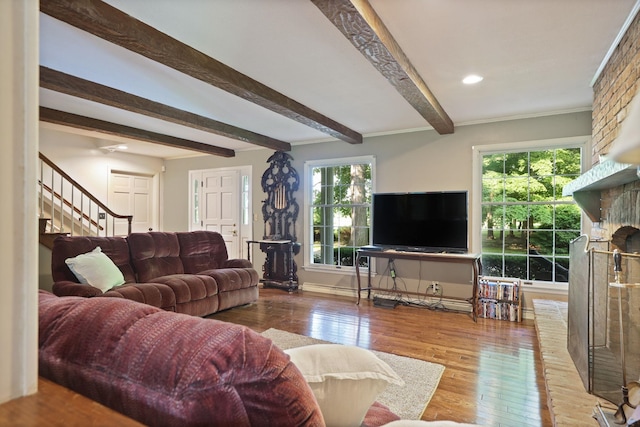 living room with wood-type flooring, ornamental molding, a healthy amount of sunlight, and beam ceiling