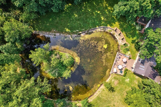 4705 Weiss Rd, Frankenmuth, MI 48734 - aerial view of property's location