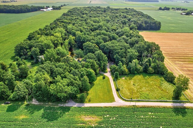 4705 Weiss Rd, Frankenmuth, MI 48734 - overview of rural landscape featuring extensive farmland