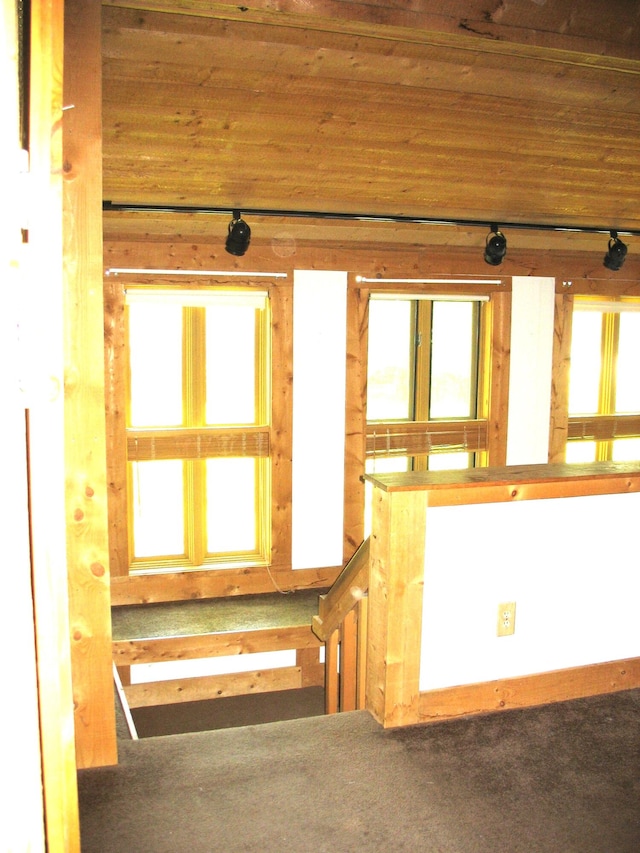 miscellaneous room with carpet flooring, a wealth of natural light, and wooden ceiling