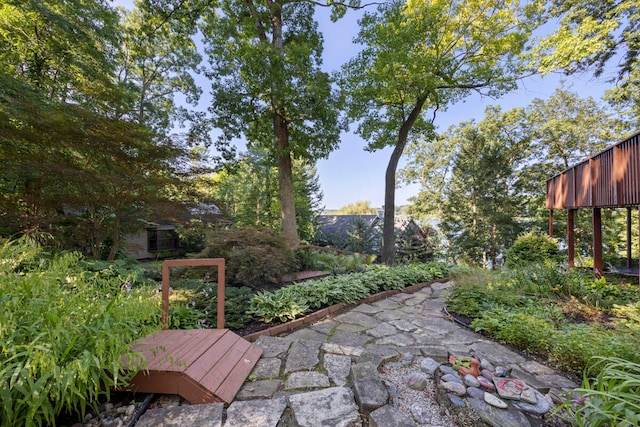 view of yard featuring a patio area