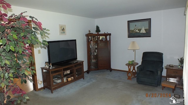 living room featuring carpet flooring