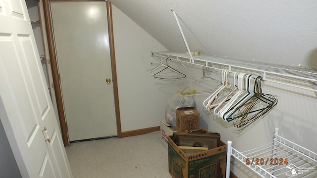 spacious closet with light colored carpet