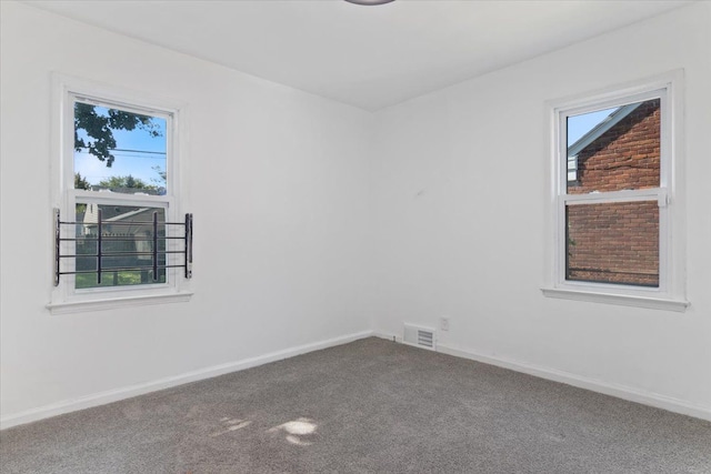 carpeted spare room with plenty of natural light