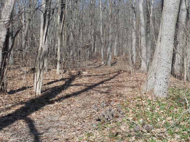 LOT1 Park Ridge Rd, White Lake, MI 48386