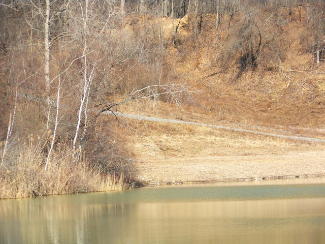 LOT1 Park Ridge Rd, White Lake, MI 48386