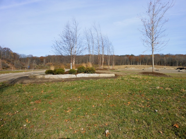 LOT1 Park Ridge Rd, White Lake, MI 48386