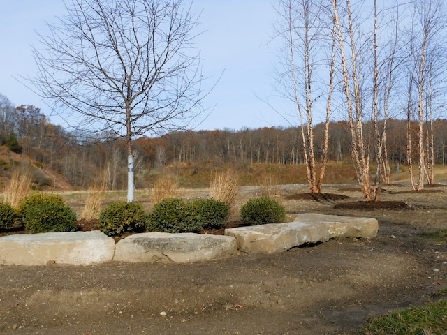 LOT1 Park Ridge Rd, White Lake, MI 48386
