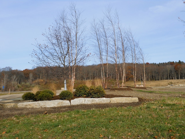LOT1 Park Ridge Rd, White Lake, MI 48386