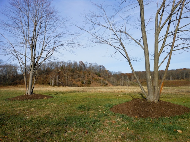 LOT1 Park Ridge Rd, White Lake, MI 48386