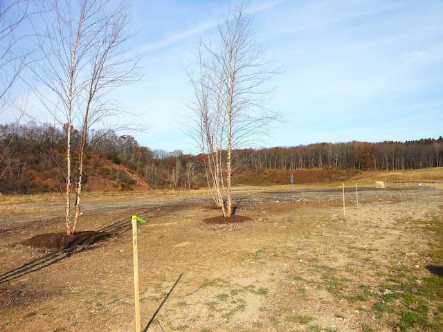 LOT1 Park Ridge Rd, White Lake, MI 48386