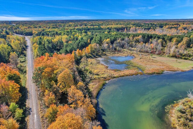 V/L River Rd, Oscoda, MI 48750