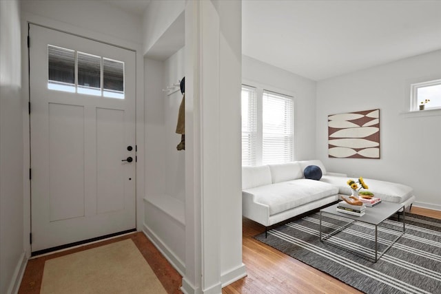 foyer with wood-type flooring and a wealth of natural light