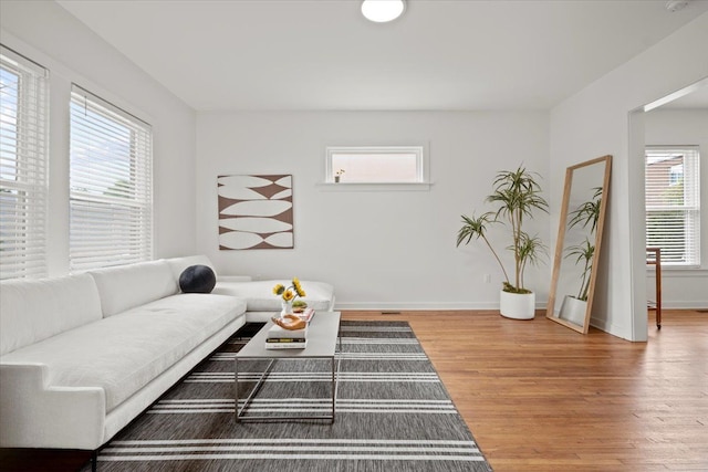 living room with hardwood / wood-style flooring