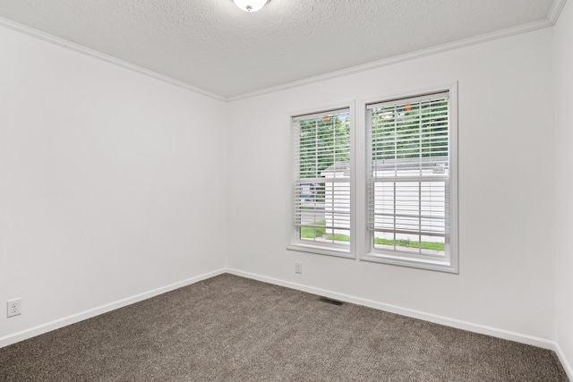 spare room featuring carpet flooring, a textured ceiling, and ornamental molding