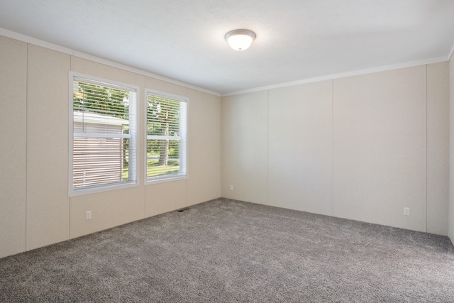 carpeted spare room featuring crown molding