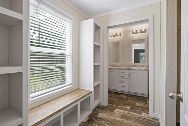 interior space with a wealth of natural light, dark hardwood / wood-style flooring, and sink