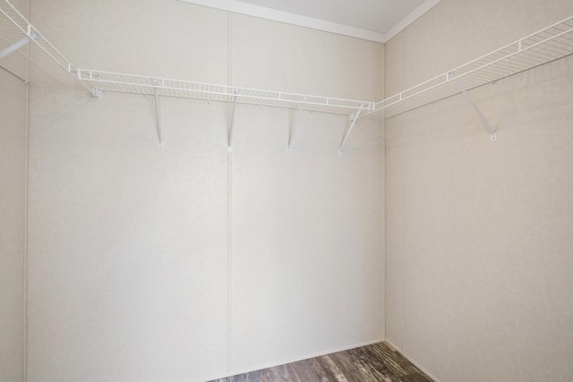 walk in closet featuring dark hardwood / wood-style flooring