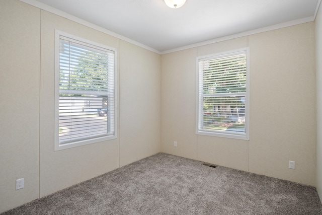 carpeted spare room featuring crown molding