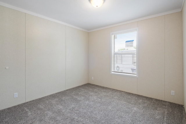 carpeted spare room with crown molding