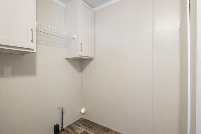 clothes washing area featuring cabinets and dark wood-type flooring