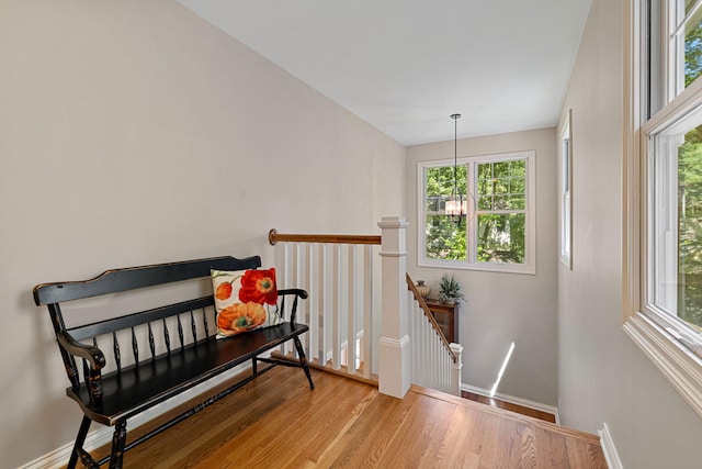 sitting room featuring light hardwood / wood-style flooring