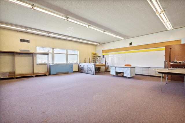 miscellaneous room with carpet floors and a textured ceiling