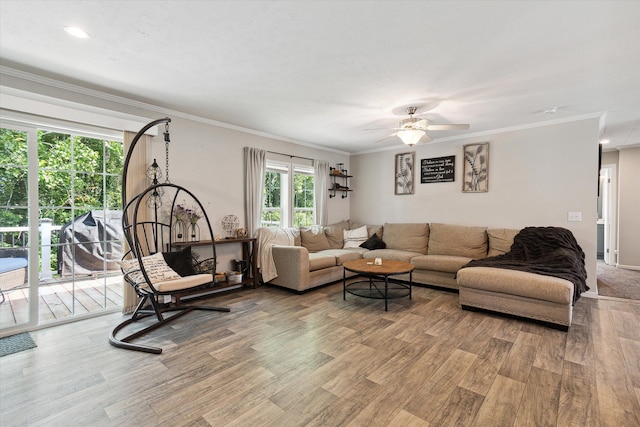 living room with ceiling fan, wood-type flooring, and ornamental molding