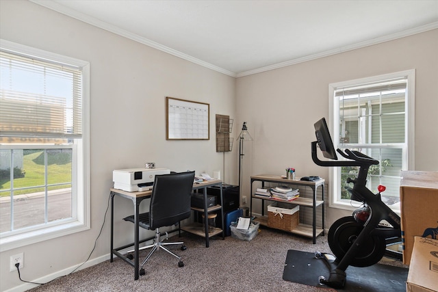 carpeted office space featuring ornamental molding