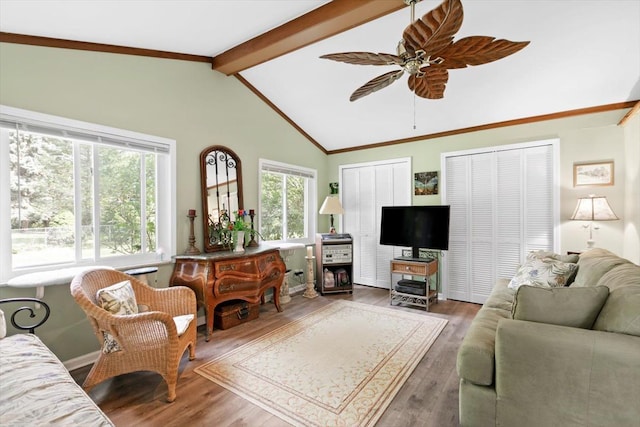 living room featuring dark hardwood / wood-style flooring, lofted ceiling with beams, and ceiling fan