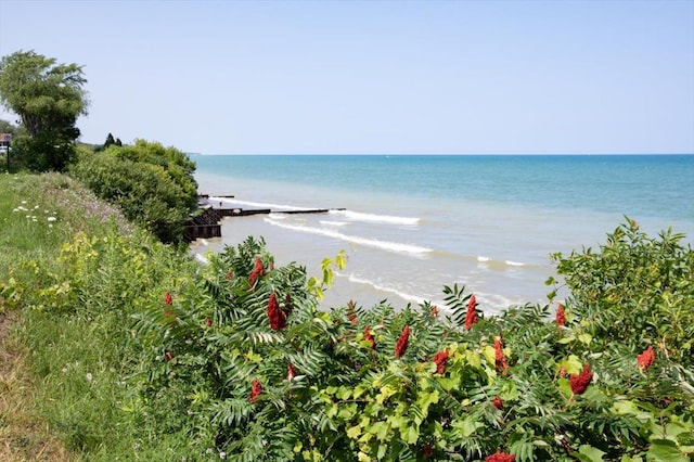 property view of water with a beach view