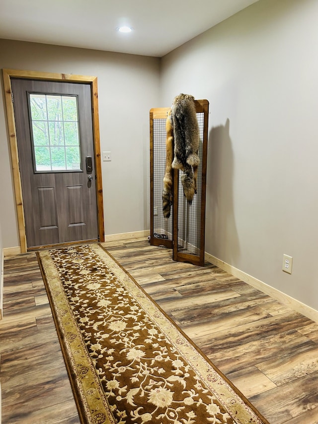 foyer entrance with hardwood / wood-style flooring