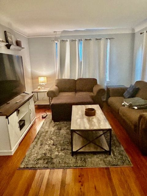 living room with hardwood / wood-style flooring and ornamental molding