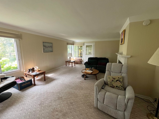 living room featuring crown molding and carpet