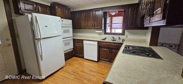 kitchen with a drop ceiling, light hardwood / wood-style floors, white appliances, and sink