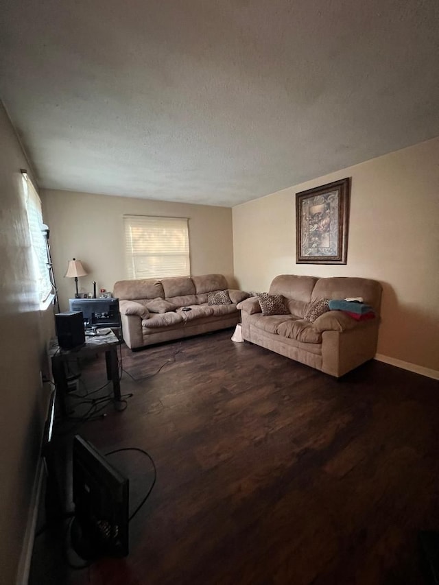 living room featuring a textured ceiling and hardwood / wood-style flooring