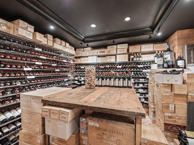 wine cellar featuring a raised ceiling and light hardwood / wood-style flooring