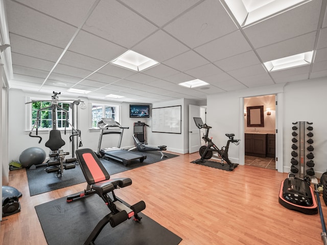 exercise room with wood-type flooring, a paneled ceiling, and sink