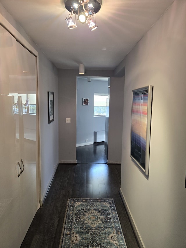 corridor featuring dark hardwood / wood-style flooring