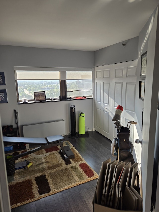 interior space with dark hardwood / wood-style flooring